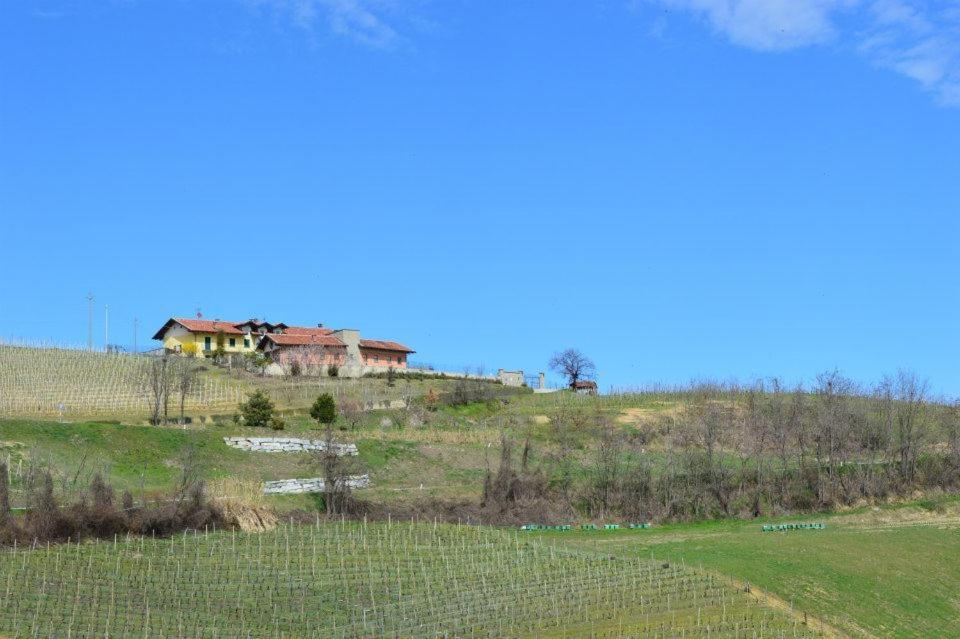 Agriturismo Cascina Rabalot Diano dʼAlba Exteriér fotografie