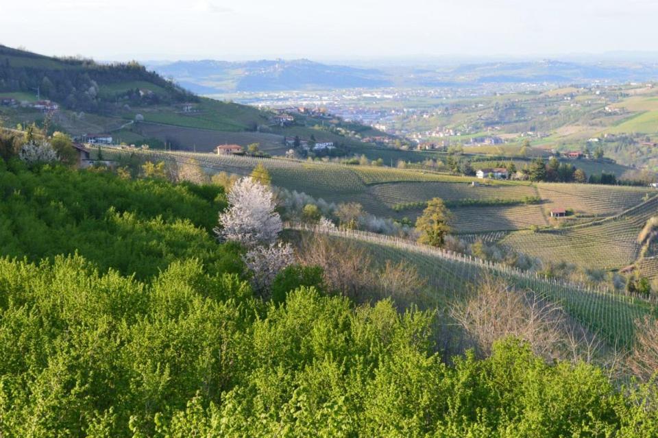 Agriturismo Cascina Rabalot Diano dʼAlba Exteriér fotografie